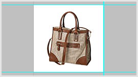 Ladies bag white background for e-commerce ready image